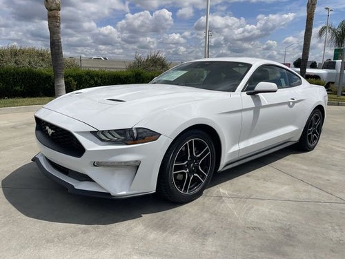 2022 Ford Mustang EcoBoost