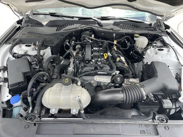 2022 Ford Mustang EcoBoost