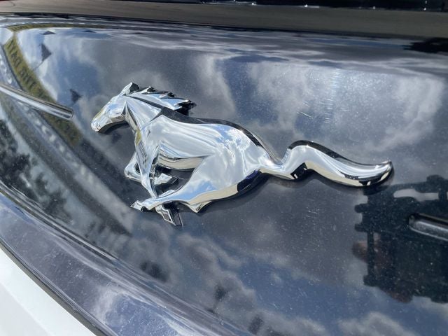 2022 Ford Mustang EcoBoost