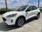 2020 Ford Escape Hybrid SE Sport