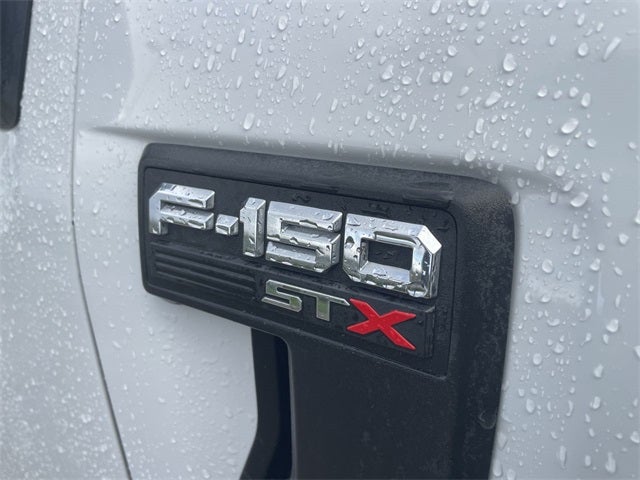 2021 Ford F-150 XL STX Appearance Package