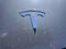 2019 Tesla Model 3 Mid Range
