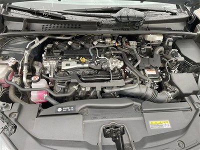 2023 Toyota Prius XLE